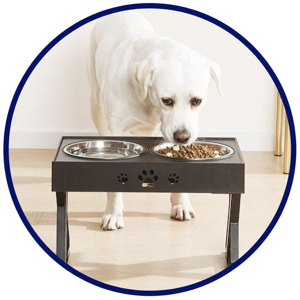 Elevated Food Table and Bowls – BouBoo Dog