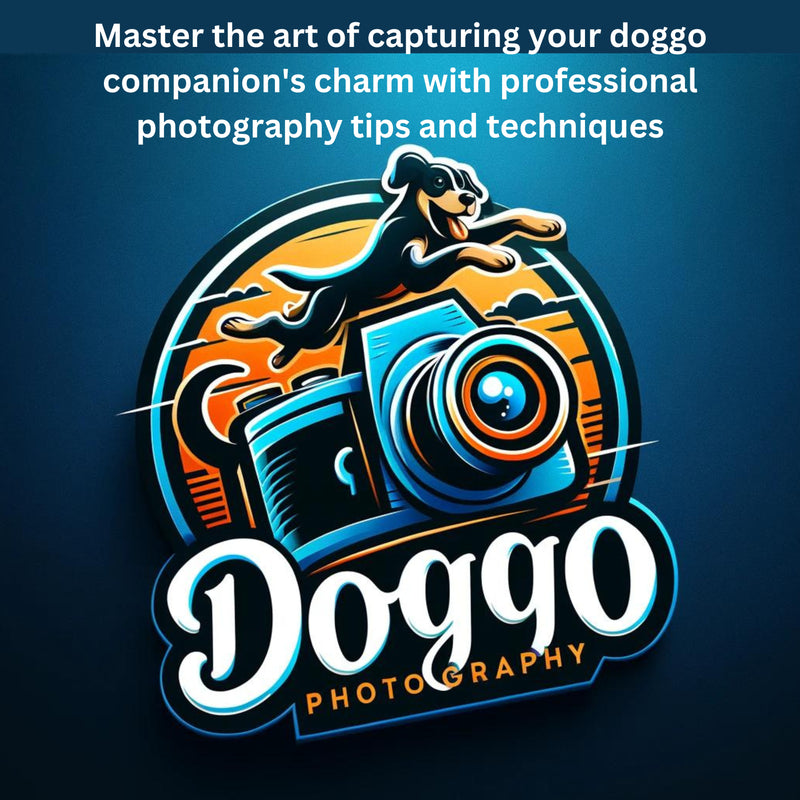 Capturing Doggo : A Guide to Taking Paw-some Pictures