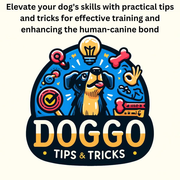 The Ultimate Guide to Doggo Tricks