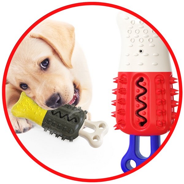 Multifunctional Pet Toy