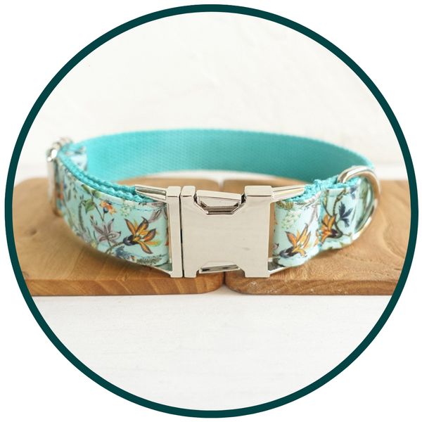 Aqua Floral Collar