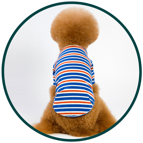 Striped Pet T-Shirt