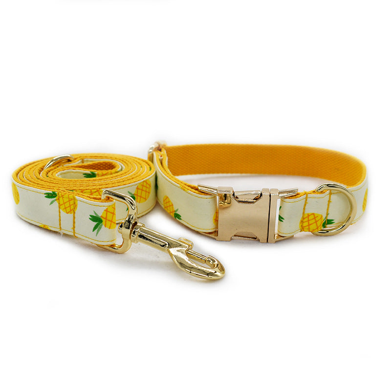 Pineapple Collar and Leash