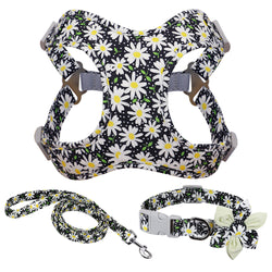 Floral Collar, Leash, and Harness Set