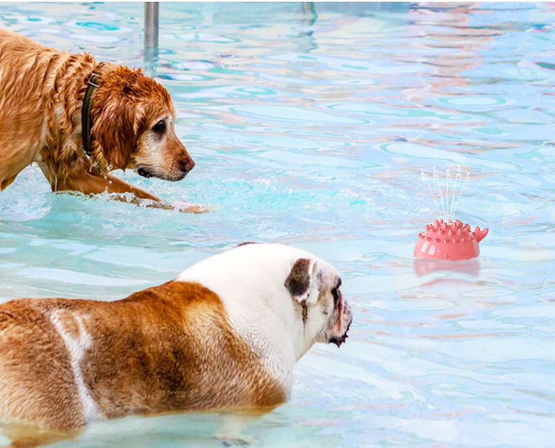 Floating Spray Toy