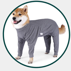 Dog Pyjamas