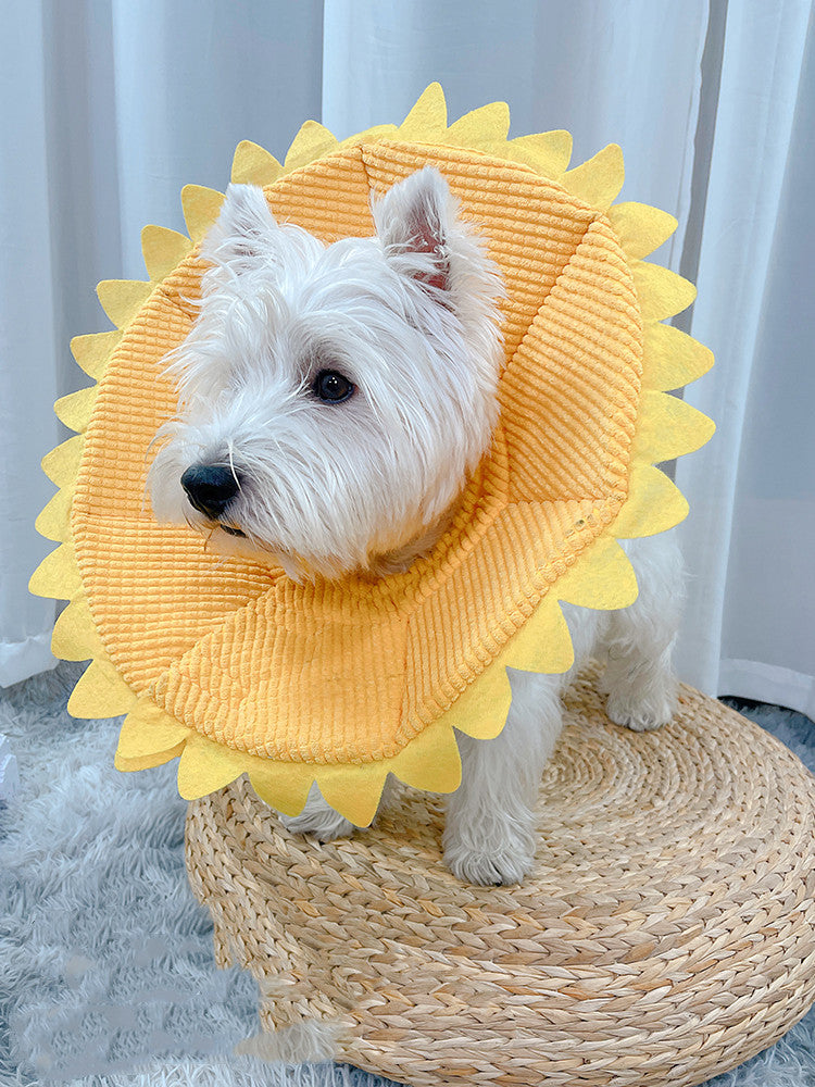 Fancy Dress : Sunflower Head