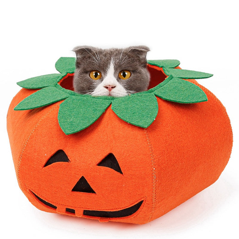 Fancy Dress : Pumpkin