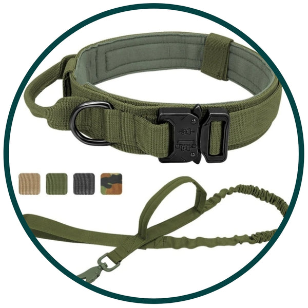 Tactical Collar and Leash