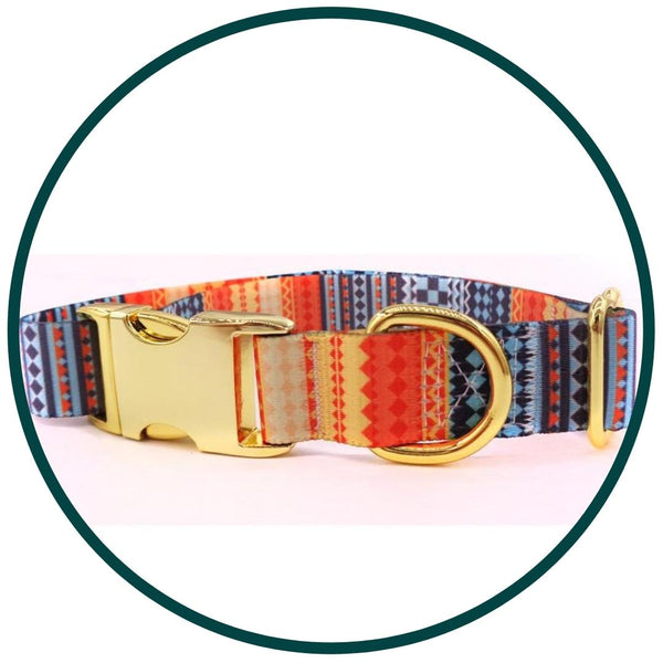 Golden Buckle Collars